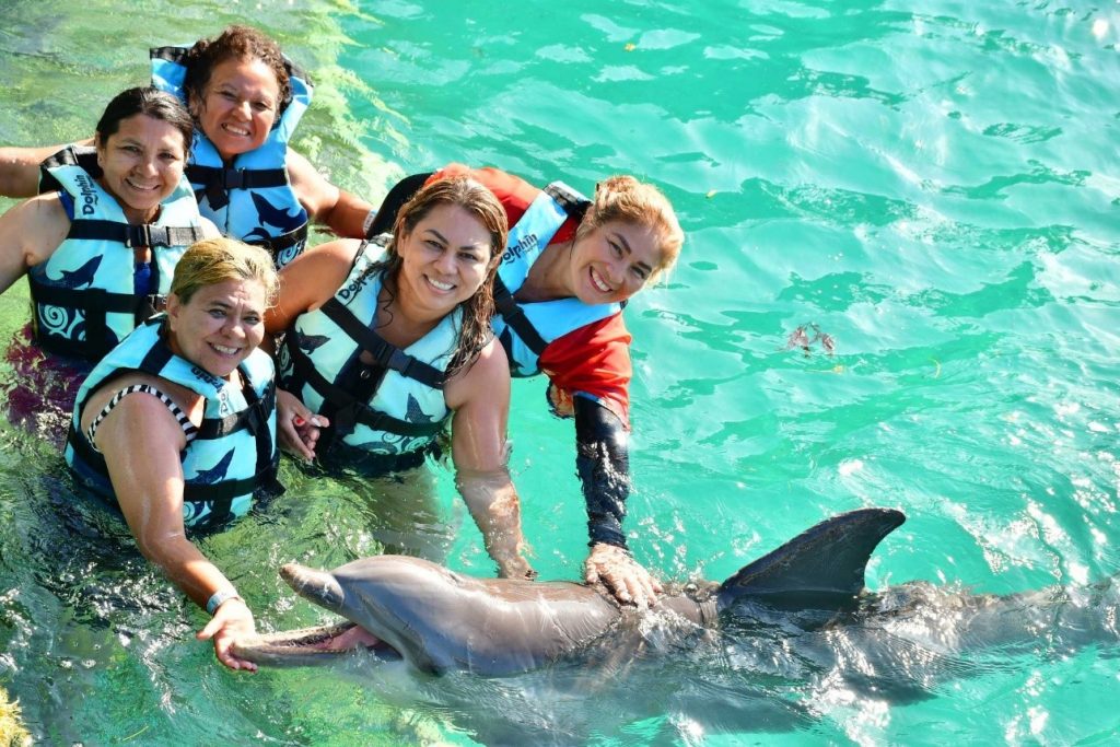 Socias CONFETUR viven experiencia Dolphin Discovery Cancún.