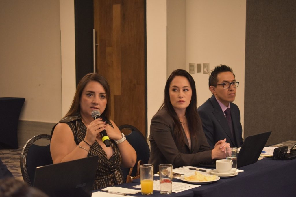 Lily Leal, Presidente de la Alianza Nacional de Transportadoras Turísticas (ANTT).